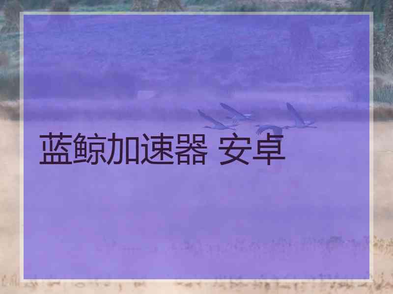 蓝鲸加速器 安卓