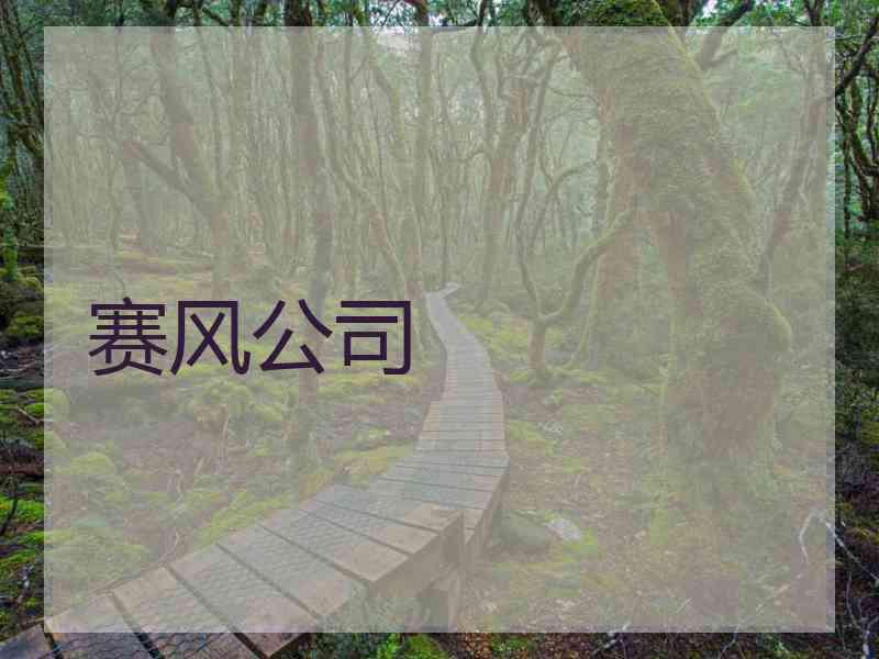赛风公司