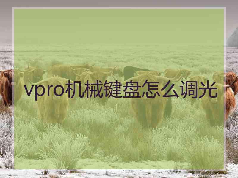 vpro机械键盘怎么调光