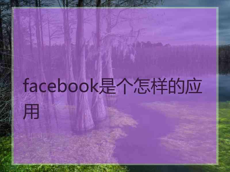 facebook是个怎样的应用