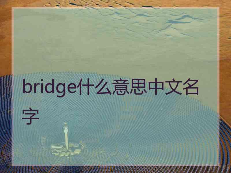 bridge什么意思中文名字