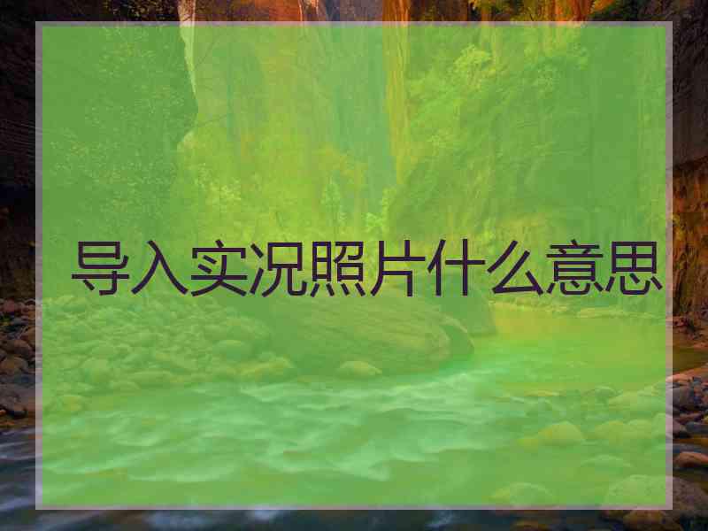 导入实况照片什么意思