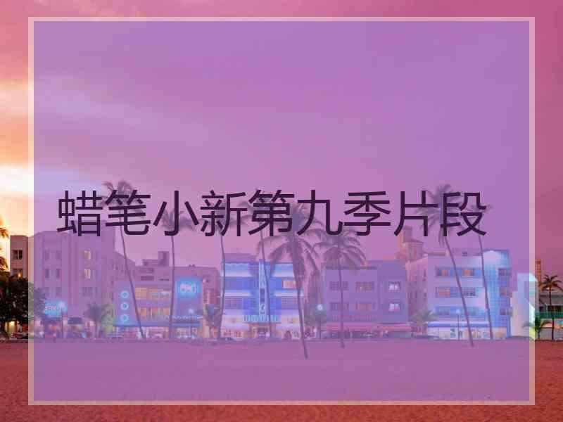 蜡笔小新第九季片段