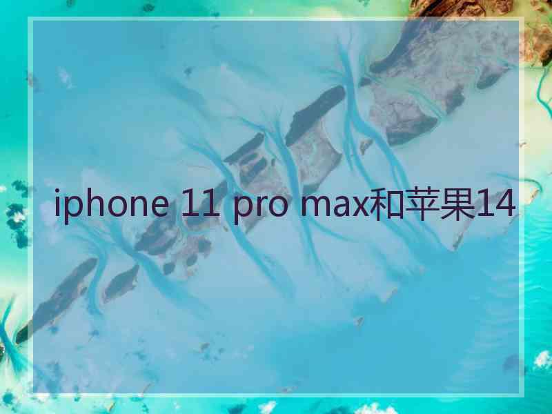 iphone 11 pro max和苹果14