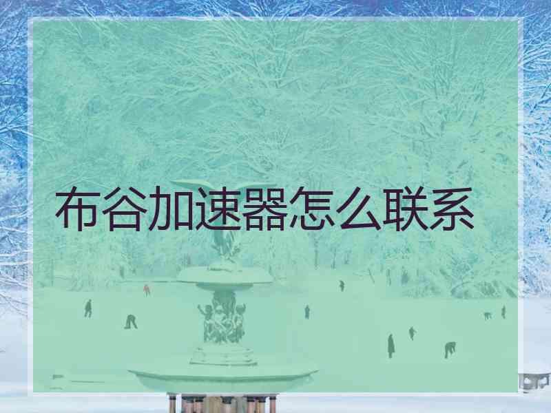 布谷加速器怎么联系