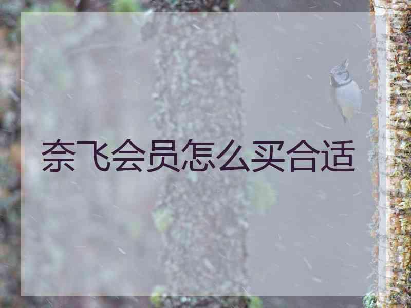奈飞会员怎么买合适