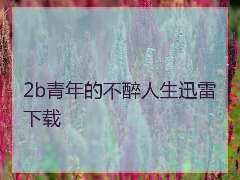 2b青年的不醉人生迅雷下载