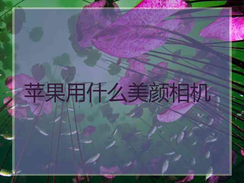苹果用什么美颜相机