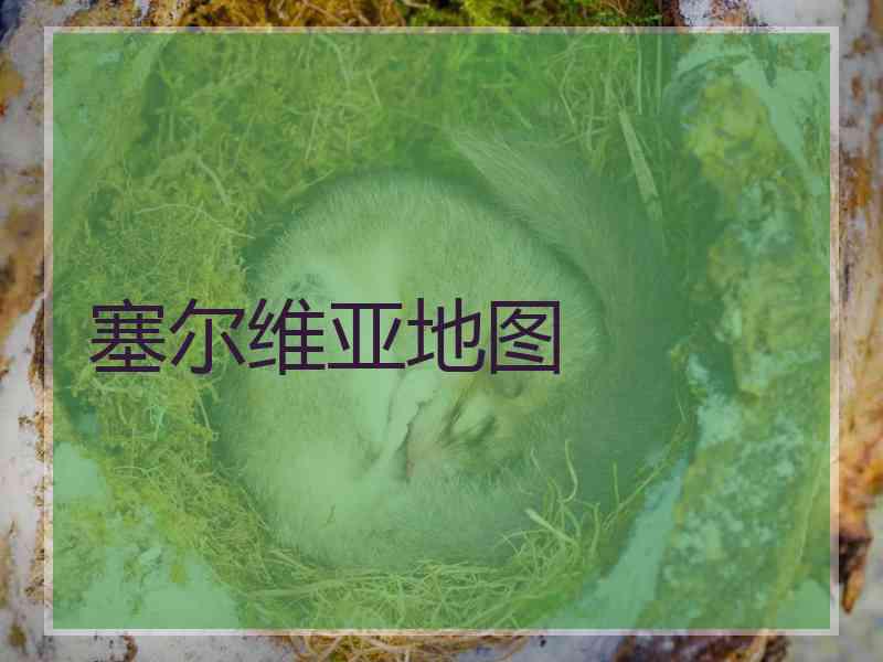塞尔维亚地图