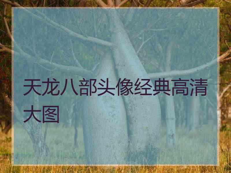 天龙八部头像经典高清大图