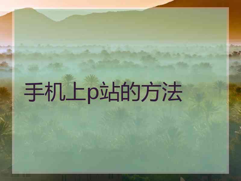 手机上p站的方法