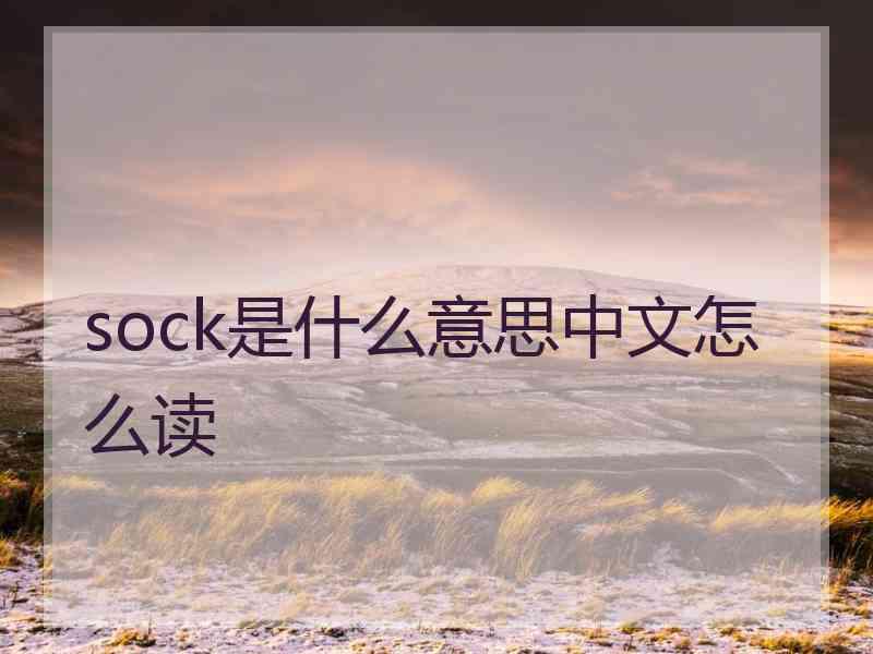 sock是什么意思中文怎么读