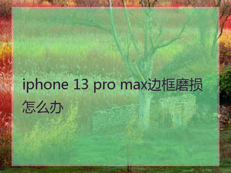 iphone 13 pro max边框磨损怎么办