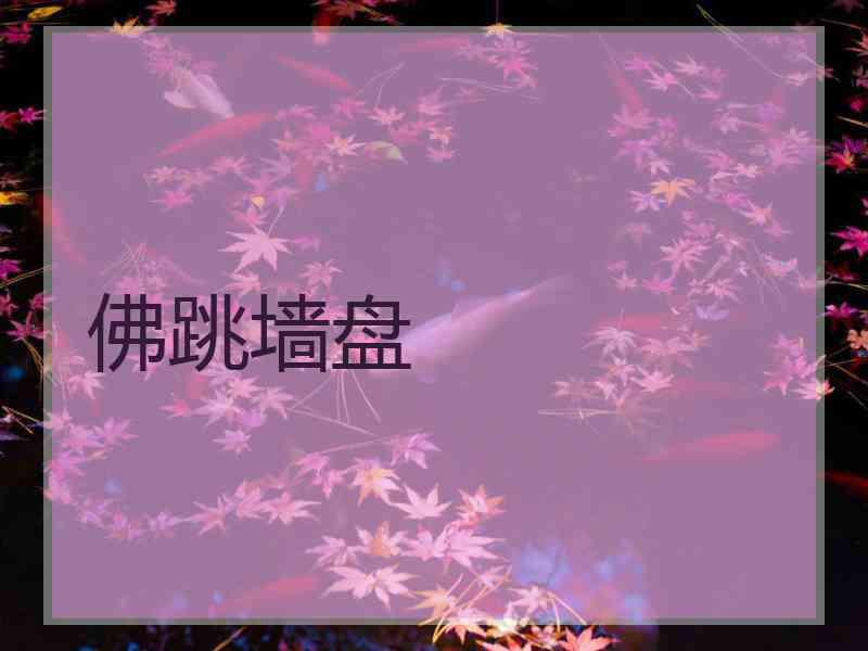 佛跳墙盘