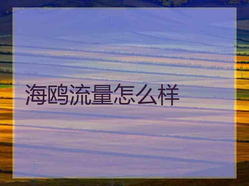 海鸥流量怎么样