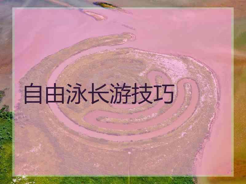 自由泳长游技巧