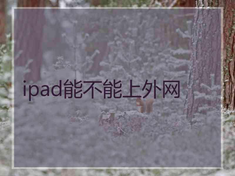ipad能不能上外网
