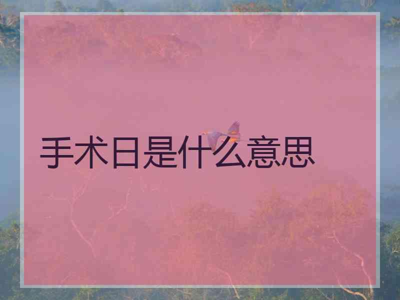 手术日是什么意思