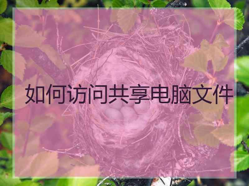 如何访问共享电脑文件