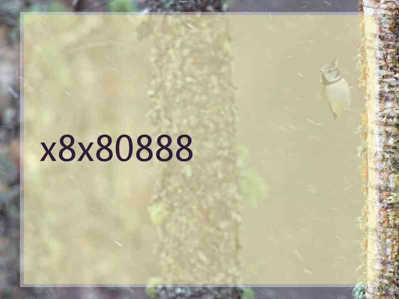 x8x80888