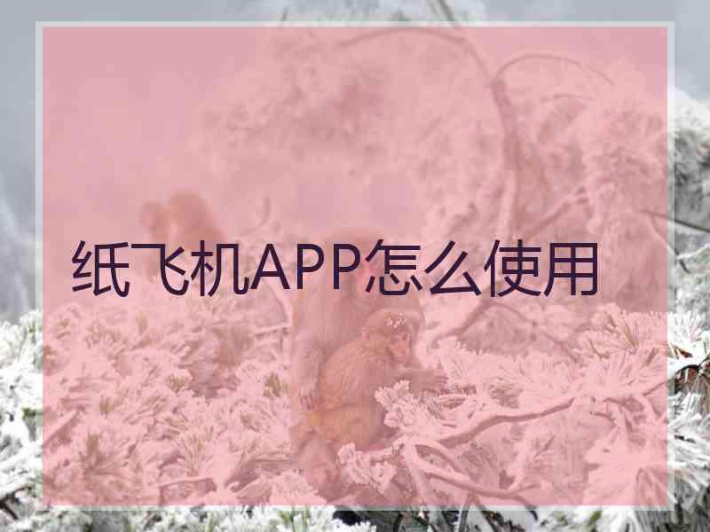 纸飞机APP怎么使用