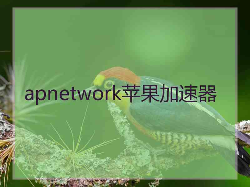 apnetwork苹果加速器