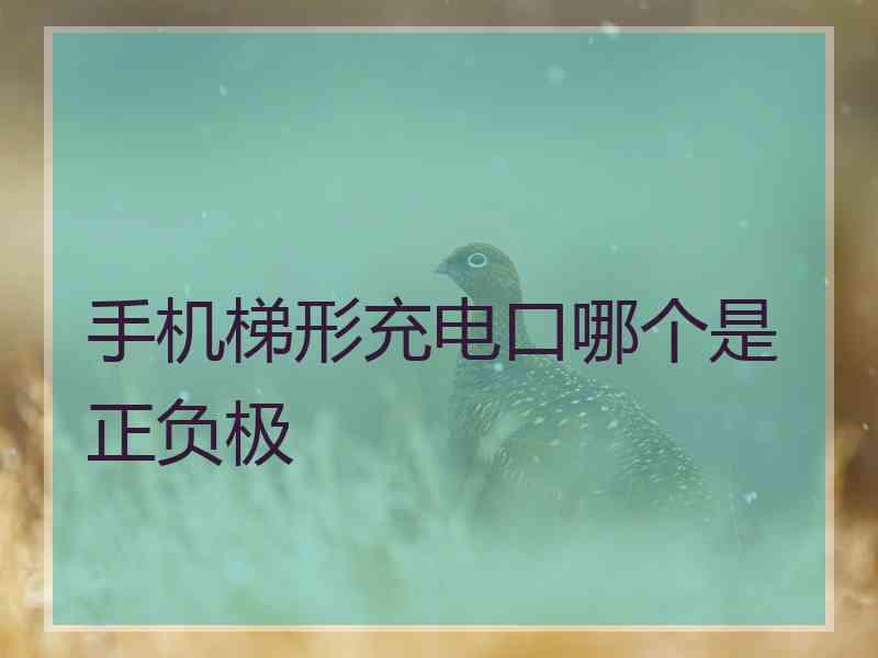 手机梯形充电口哪个是正负极