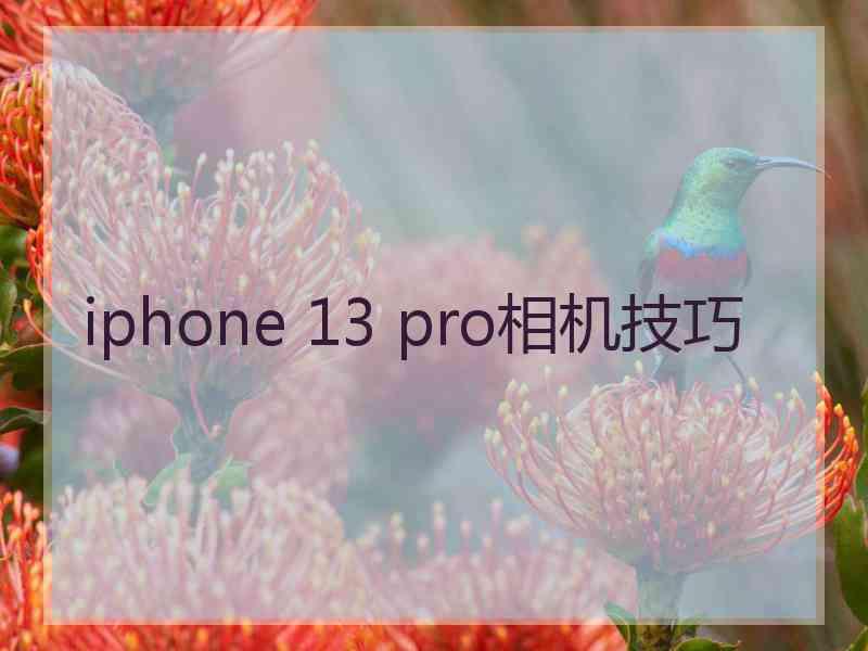iphone 13 pro相机技巧