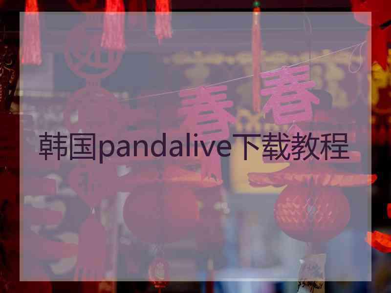 韩国pandalive下载教程