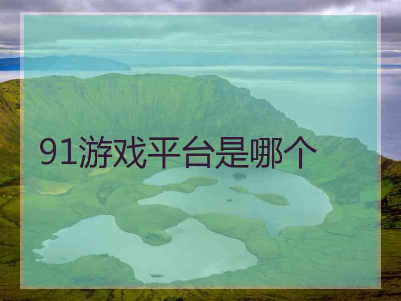 91游戏平台是哪个