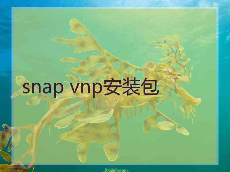 snap vnp安装包