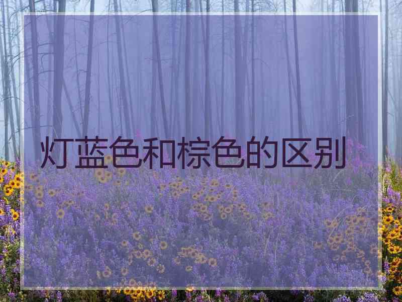 灯蓝色和棕色的区别