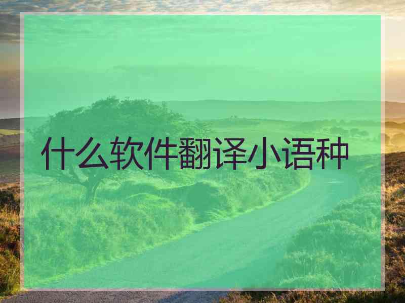 什么软件翻译小语种