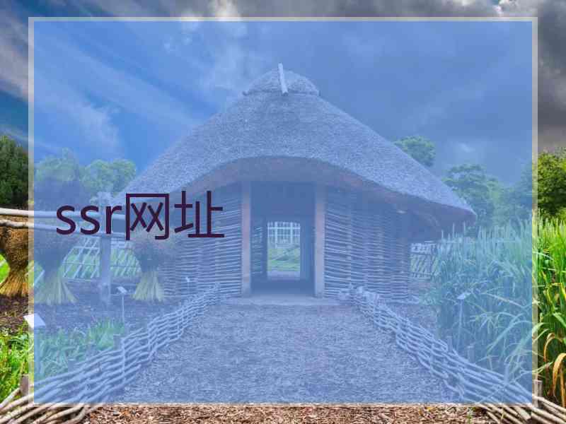 ssr网址