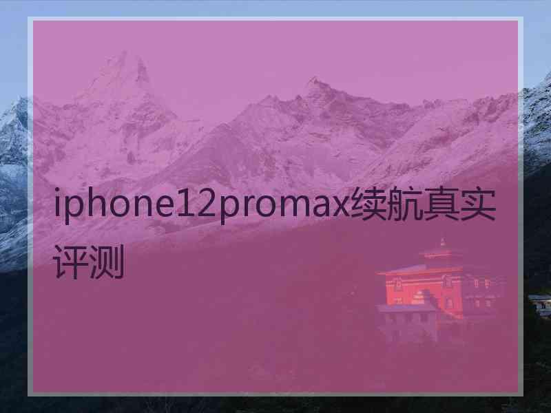 iphone12promax续航真实评测