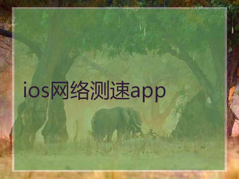 ios网络测速app