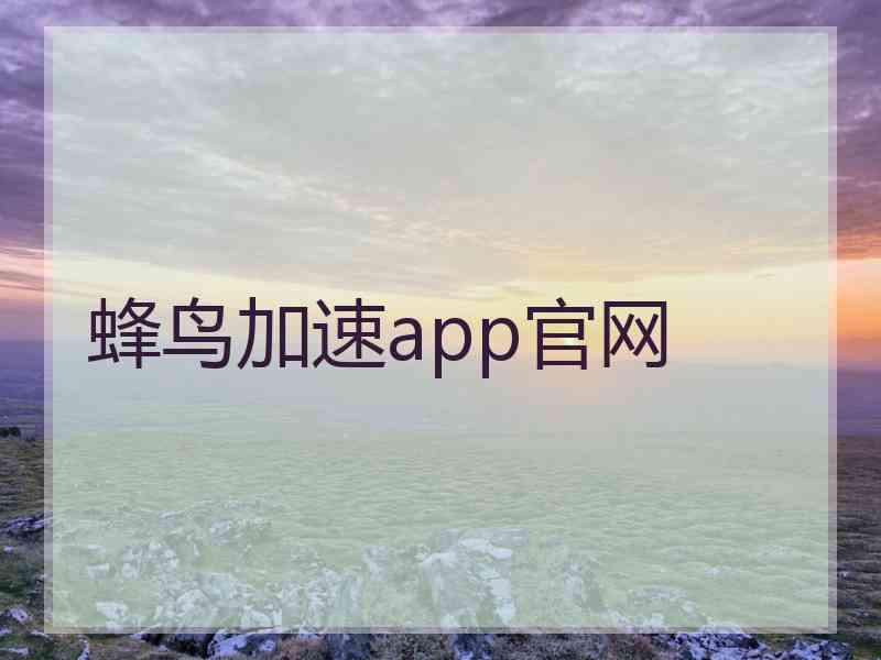 蜂鸟加速app官网