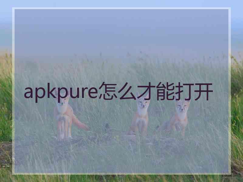 apkpure怎么才能打开