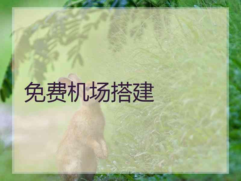 免费机场搭建
