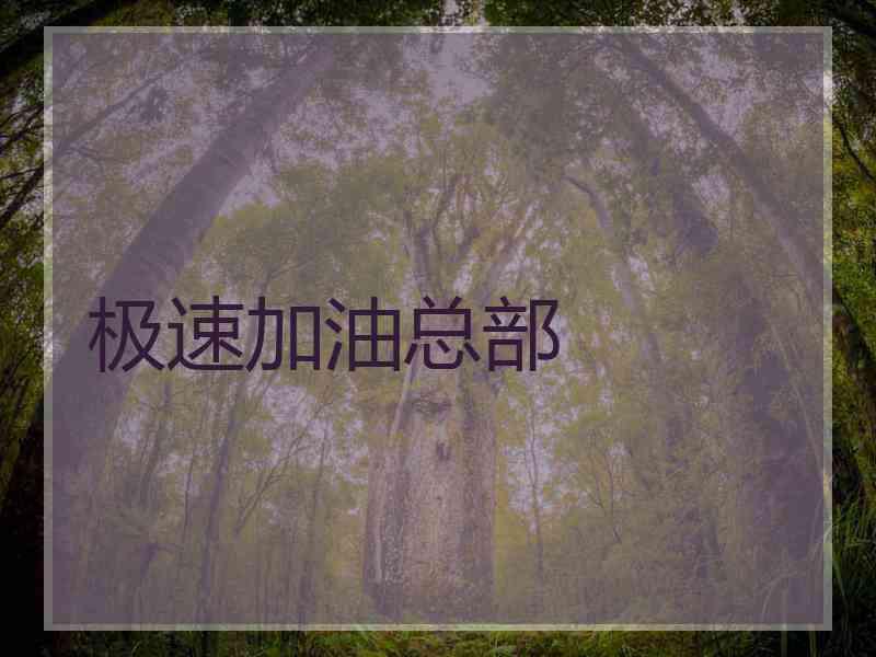 极速加油总部