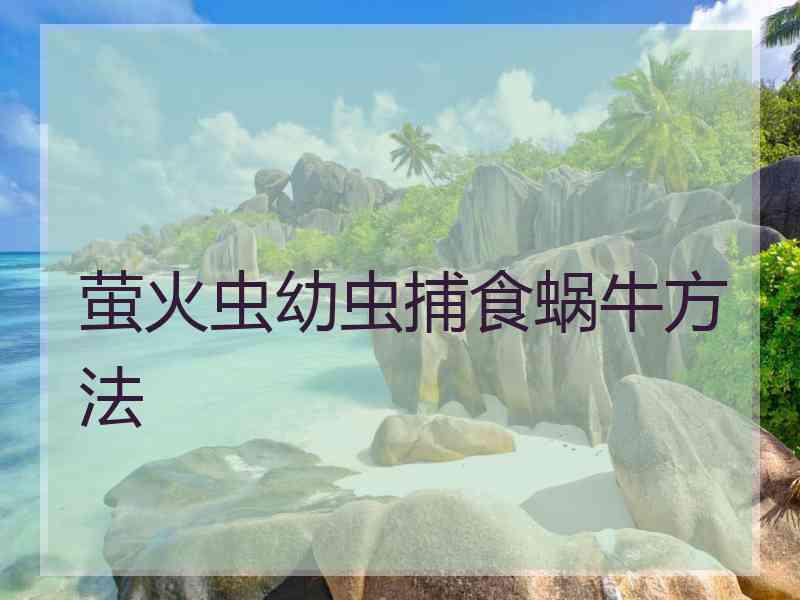 萤火虫幼虫捕食蜗牛方法