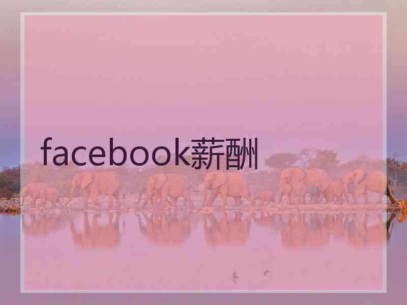 facebook薪酬