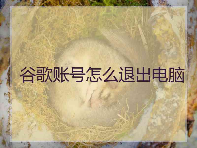 谷歌账号怎么退出电脑