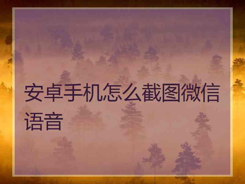 安卓手机怎么截图微信语音