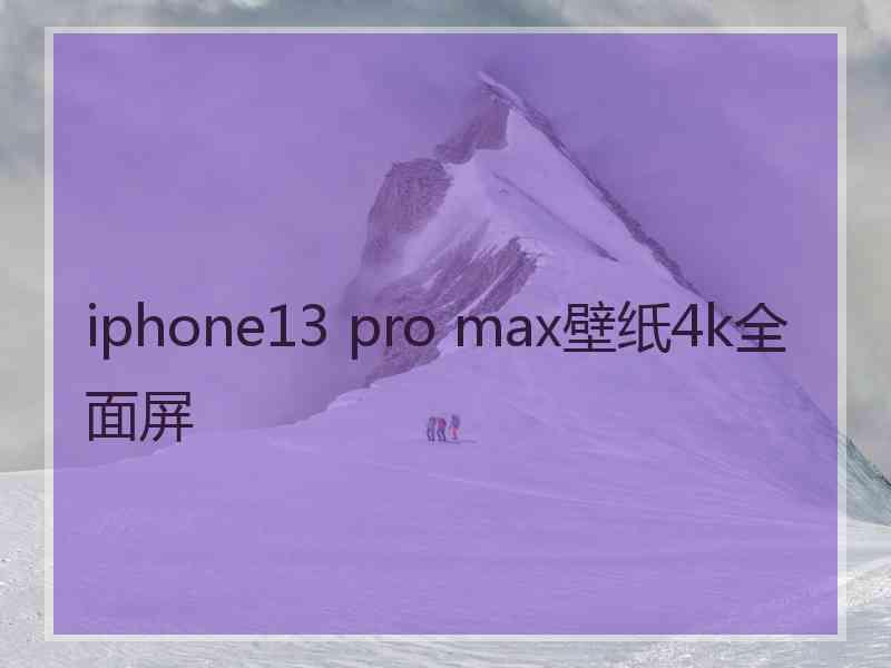 iphone13 pro max壁纸4k全面屏