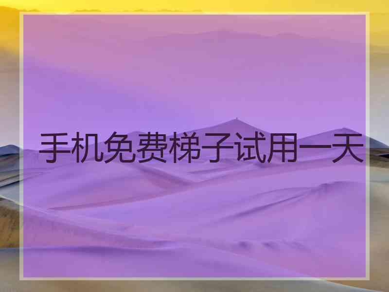 手机免费梯子试用一天