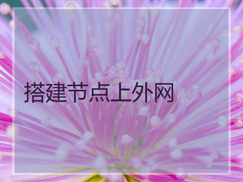 搭建节点上外网