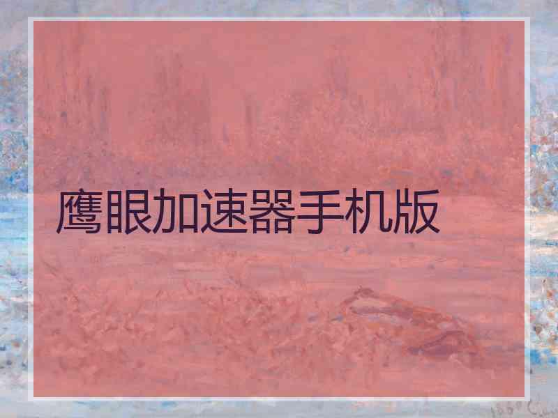 鹰眼加速器手机版