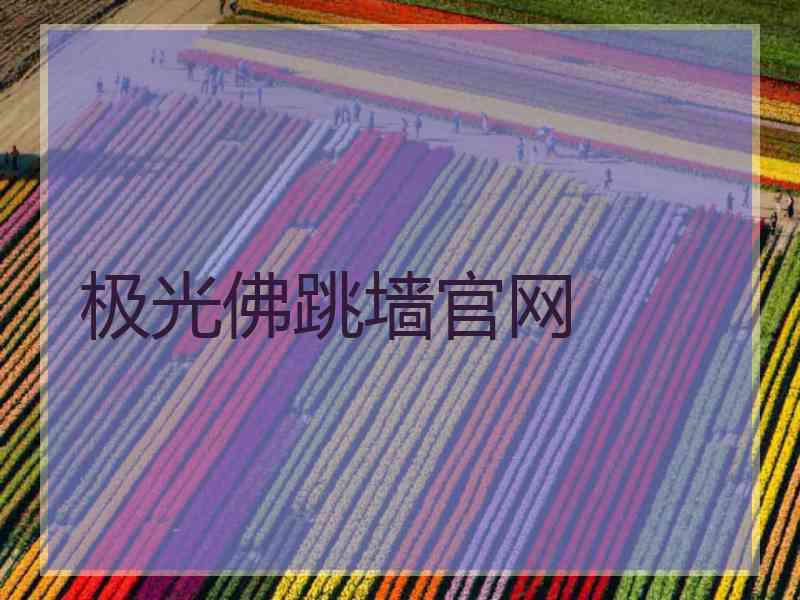 极光佛跳墙官网