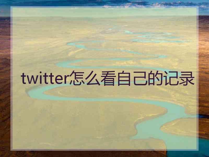 twitter怎么看自己的记录